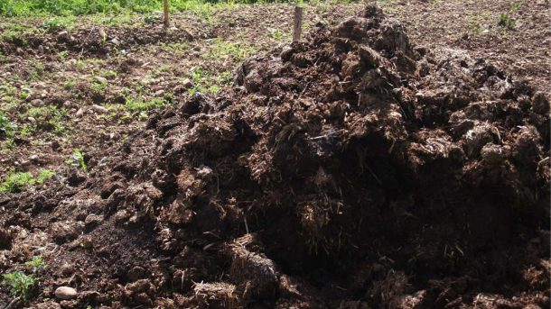 organic manures