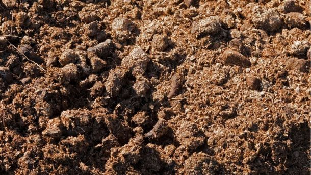 Farm Yard Manure