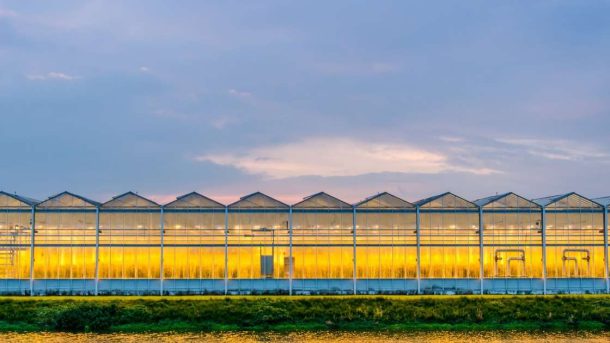 Hi-Tech agriculture