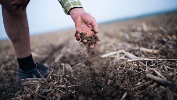 zero till sowing