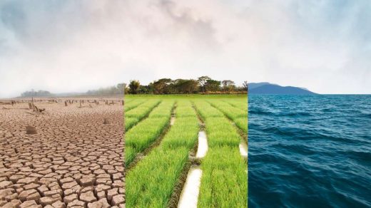 climate