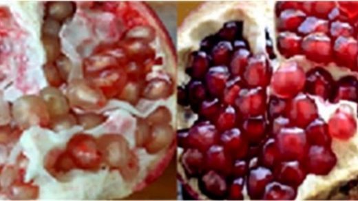 pomegranate