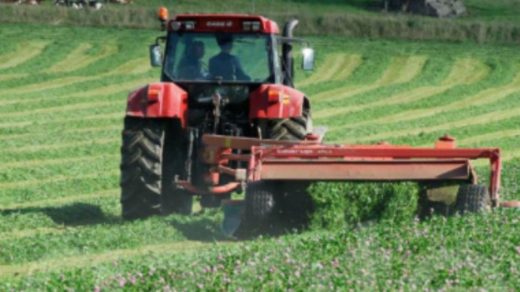 ley farming