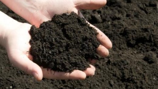 manure