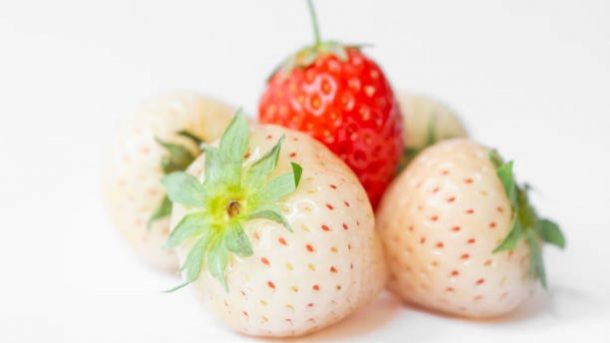 strawberry