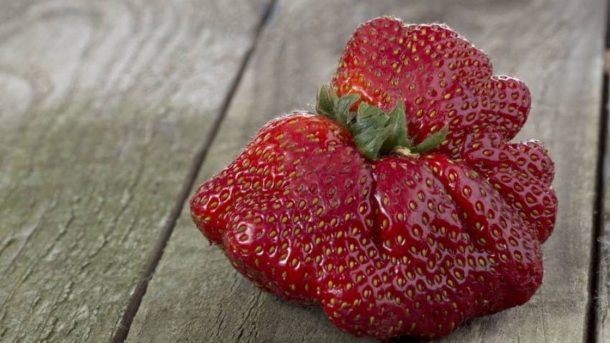 strawberry