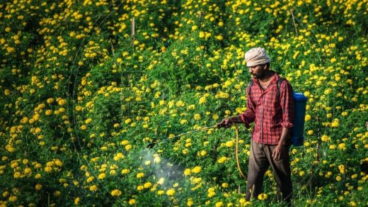 Fertilizers