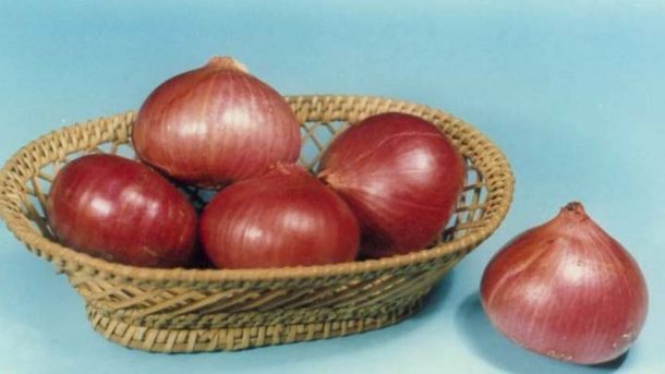 onion