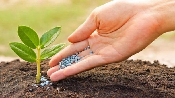 fertilizer