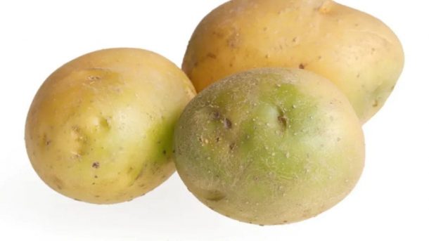 Green potatoes