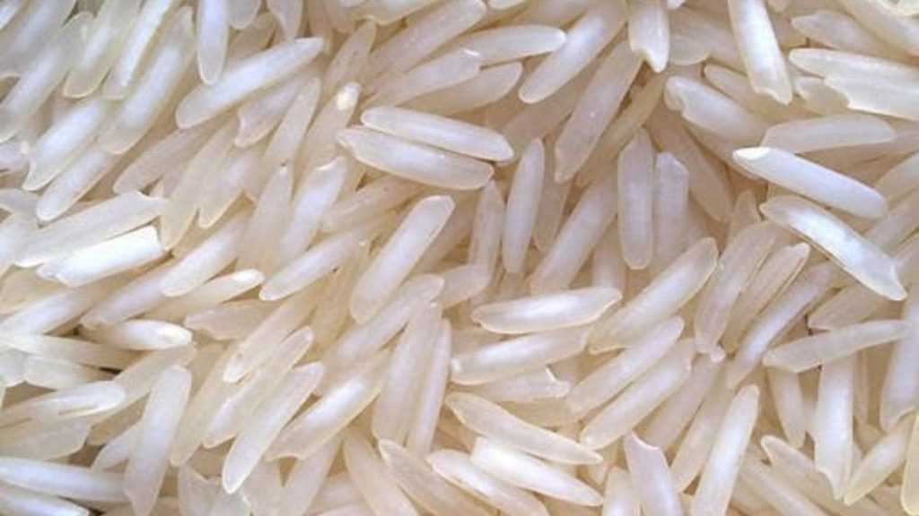  Santhosh :- What is Santhosh and it belongs to which cultivar? Illustration 