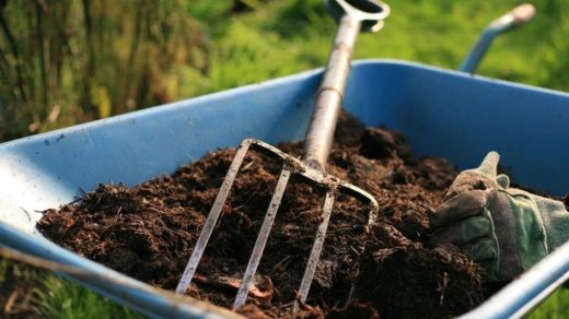 parthenium compost