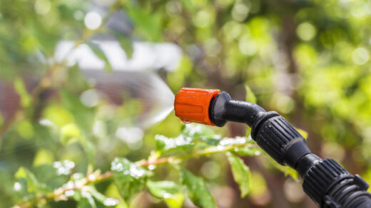 Horticultural