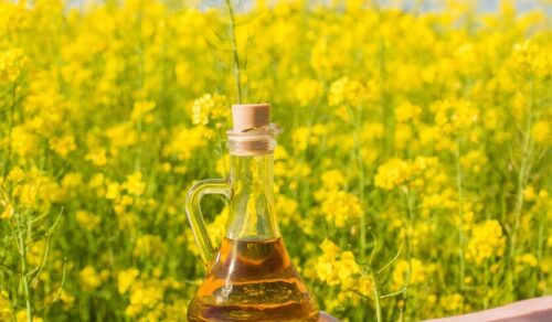 Vegetable oil