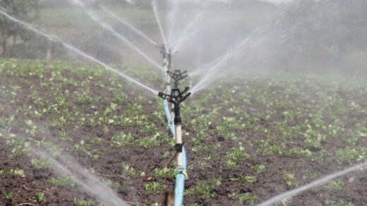 irrigation methods