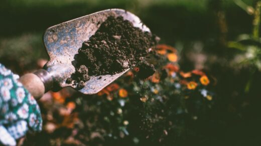 soil conservation