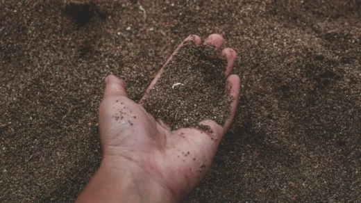 soil fertility