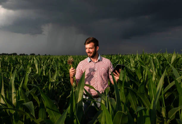 Weather Forecasting What Are The Advantages Of Using This what-are-the-main-methods-used-for-weather-forecasting-in-agriculture
