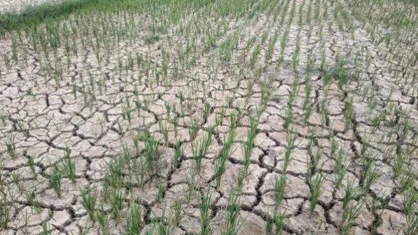 planting and harvesting
