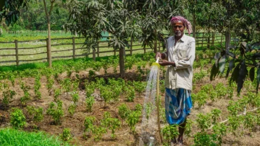 Kisan Samman