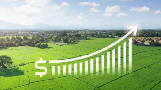 farmers
