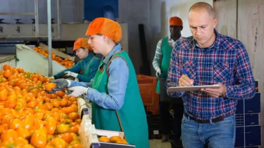 food processing