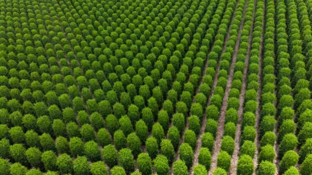agroecological