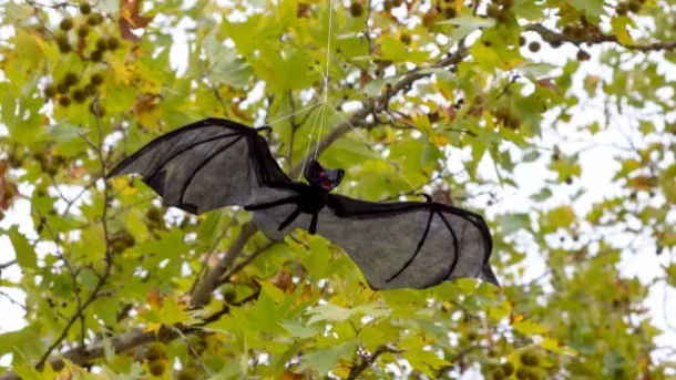 pest