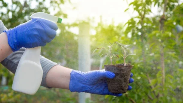 controlled-release fertilizers