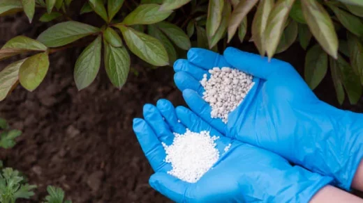 chemical fertilizers