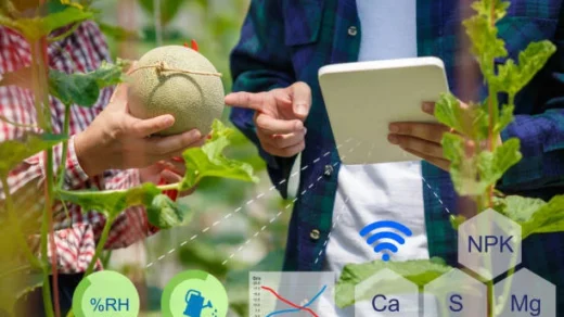 food traceability