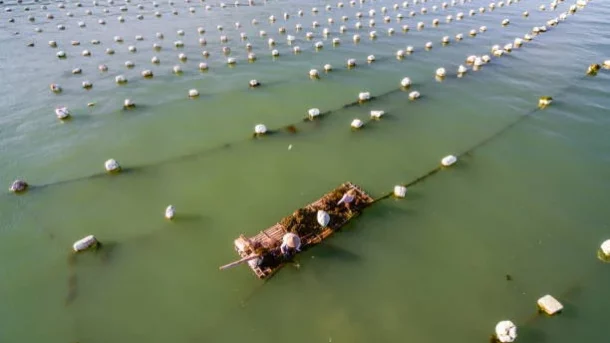 aquaculture