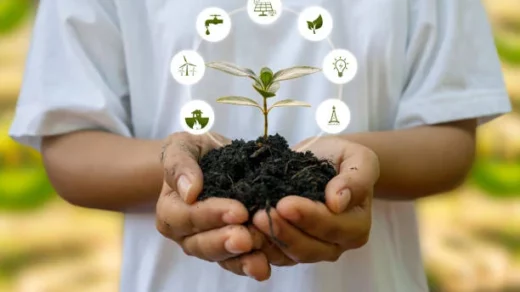 sustainable agriculture