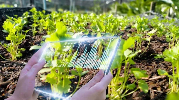 food traceability