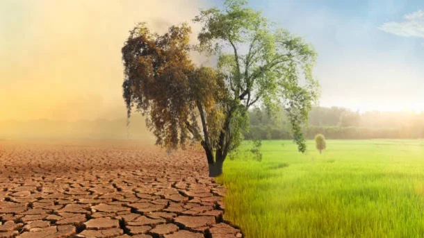 agriculture