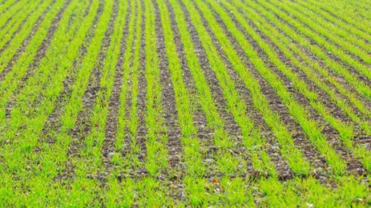 soil structure