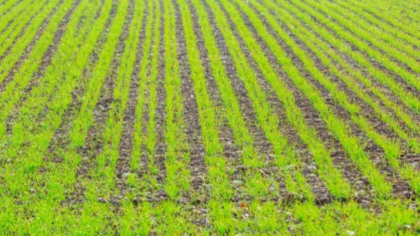 soil structure