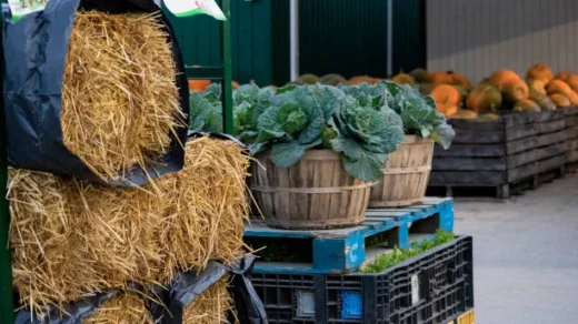 agricultural