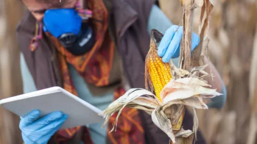 food security
