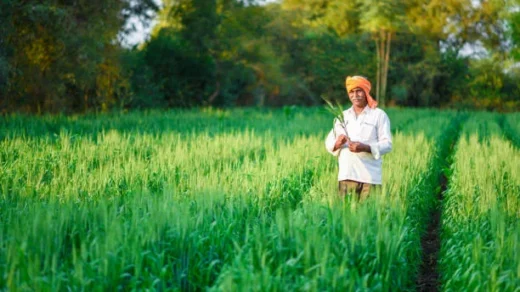 land rights