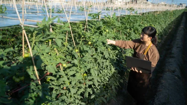 international agricultural