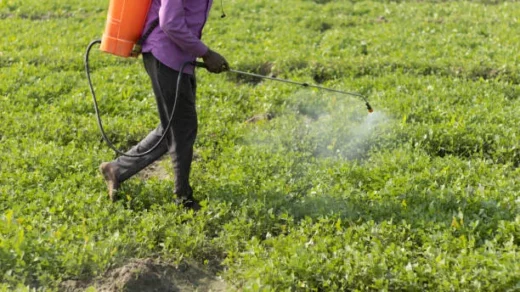 pesticides