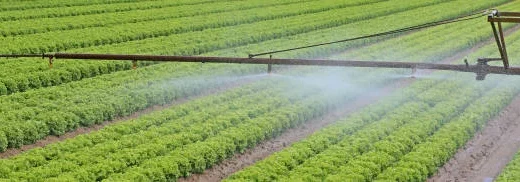 precision spraying