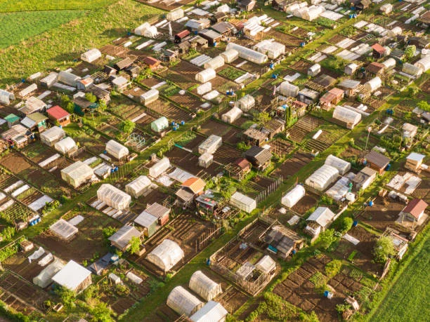 agri-tourism contributing to rural development and diversification?
