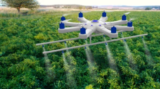 spraying and pest