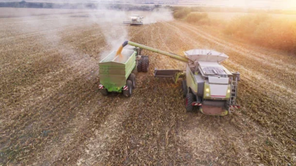 agricultural production