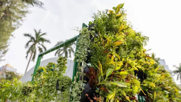 urban agriculture