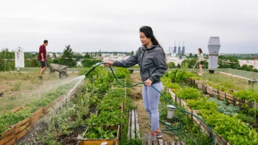 rooftop gardens