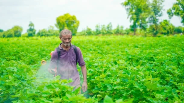 chemical fertilizers