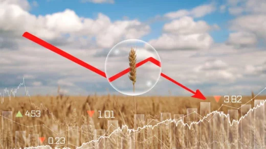 agricultural trade